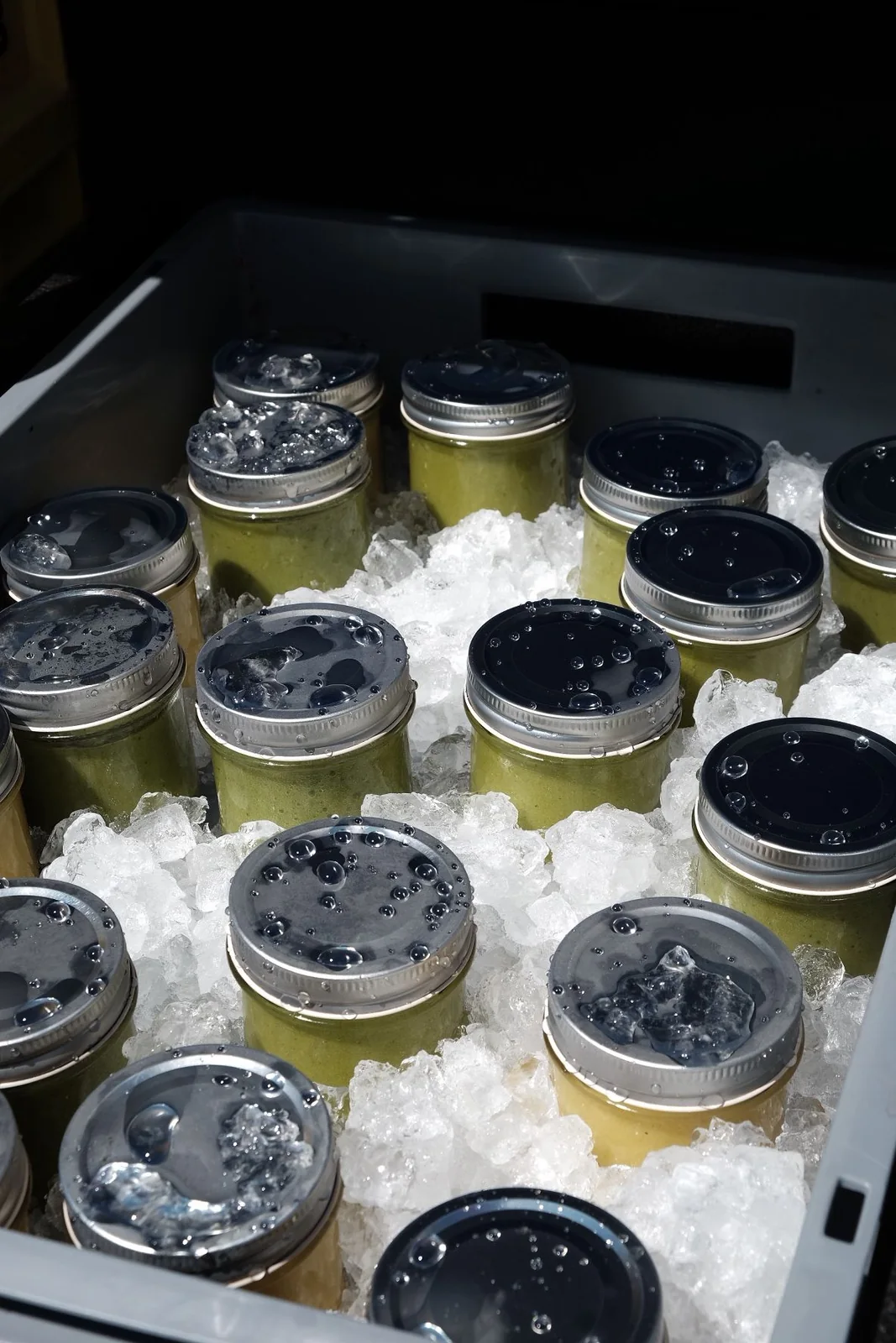 Frisch zubereitete Smoothies in Mehrweggläsern auf Crushed Ice